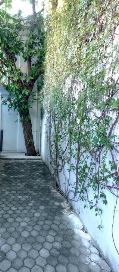 Estudio Zona Centro Cerca De La Terminal Ado Канкун Экстерьер фото